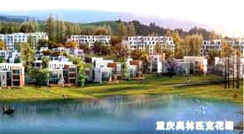 德陽市公眾信息網 數字化服務與網絡科技融合的典范